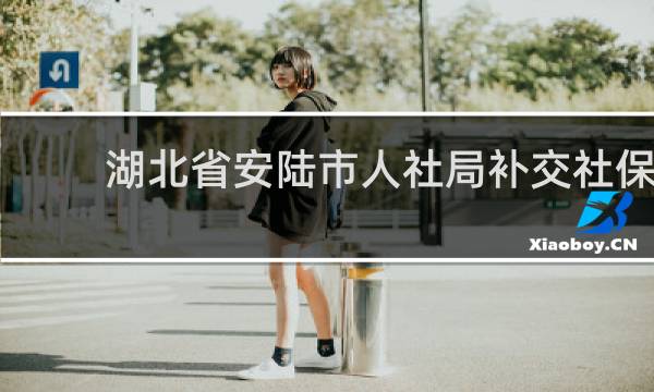 湖北省安陆市人社局补交社保的图片