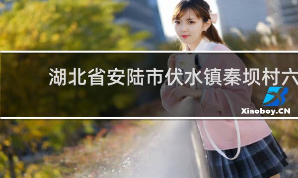 湖北省安陆市伏水镇秦坝村六组的图片