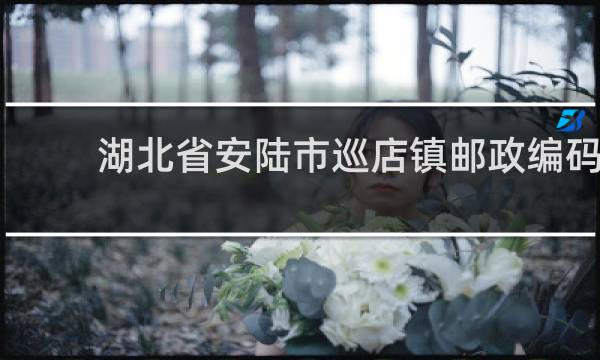 湖北省安陆市巡店镇邮政编码的图片