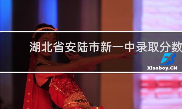 湖北省安陆市新一中录取分数线?的图片