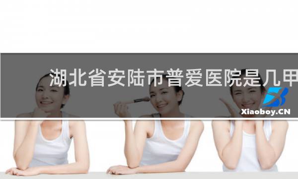 湖北省安陆市普爱医院是几甲医院的图片