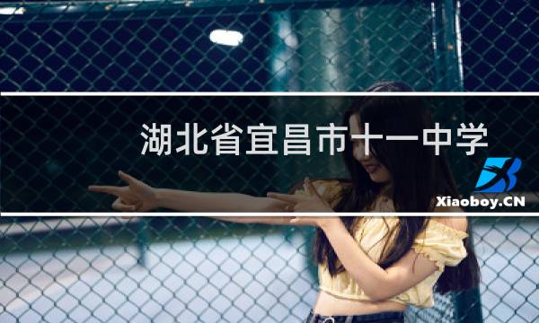 湖北省宜昌市十一中学官网网址（湖北省宜昌市十大特产）