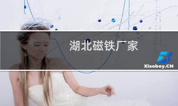 湖北磁铁厂家