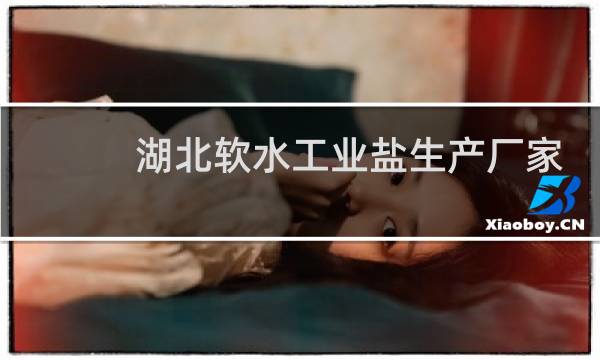 湖北软水工业盐生产厂家图片