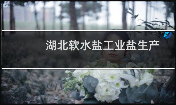 湖北软水盐工业盐生产图片