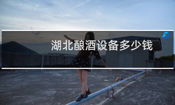 湖北酿酒设备多少钱图片