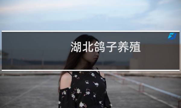 湖北鸽子养殖
