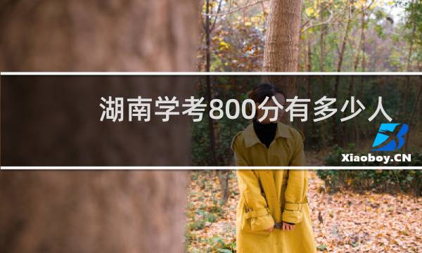 湖南学考800分有多少人