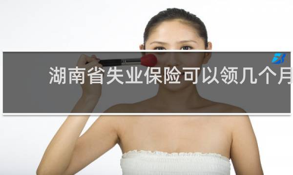 湖南省失业保险可以领几个月