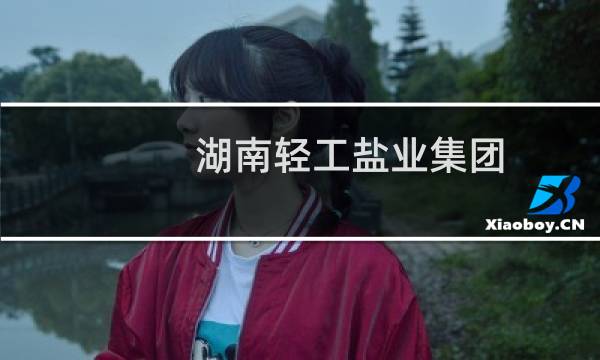 湖南轻工盐业集团图片