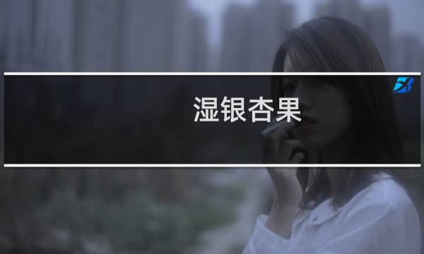 湿银杏果