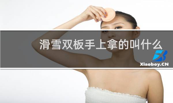 滑雪双板手上拿的叫什么