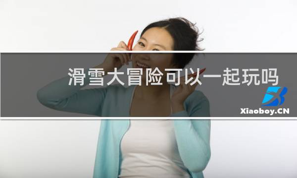 滑雪大冒险可以一起玩吗