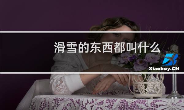 滑雪的东西都叫什么