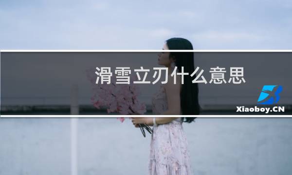 滑雪立刃什么意思