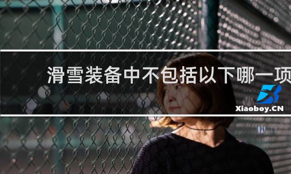 滑雪装备中不包括以下哪一项