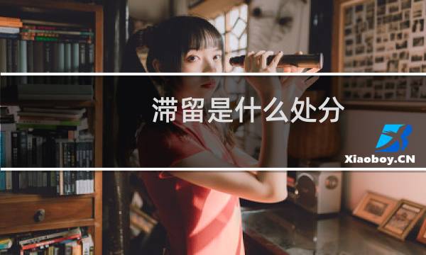 滞留是什么处分（滞留是什么意思）图片