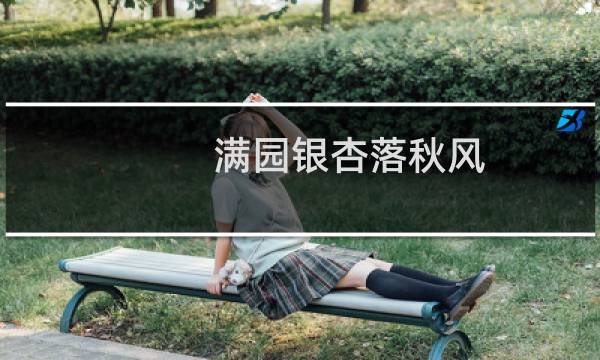 满园银杏落秋风