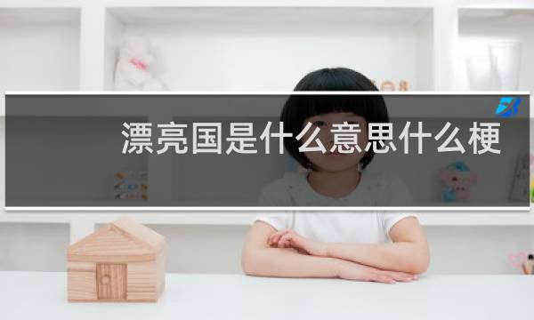 漂亮国是什么意思什么梗