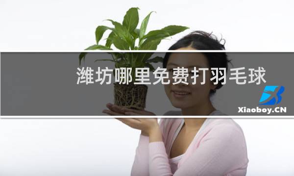 潍坊哪里免费打羽毛球
