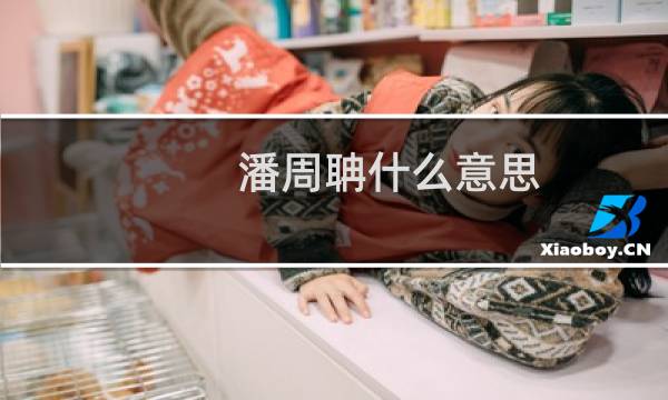 潘周聃什么意思？什么梗