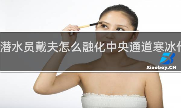 潜水员戴夫怎么融化中央通道寒冰什么梗