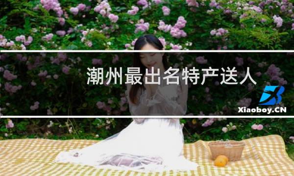 潮州最出名特产送人图片