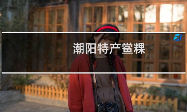 潮阳特产鲎粿图片