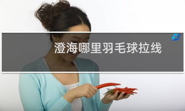 澄海哪里羽毛球拉线