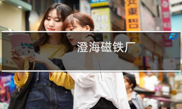澄海磁铁厂
