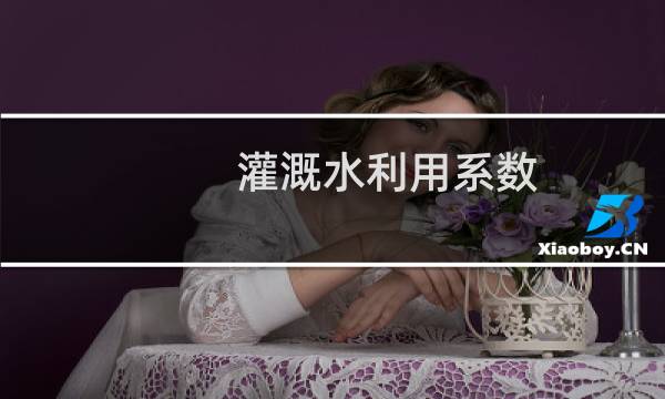 灌溉水利用系数