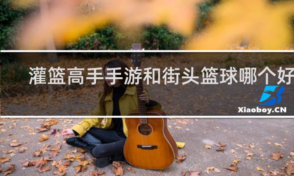 灌篮高手手游和街头篮球哪个好玩