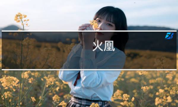 火凰图片