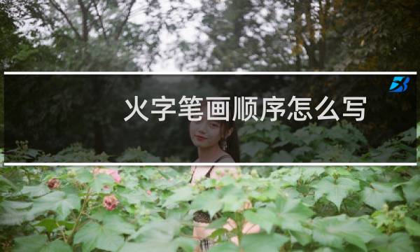 火字笔画顺序怎么写(火字的意思)