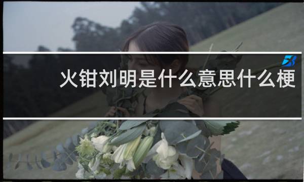 火钳刘明是什么意思什么梗