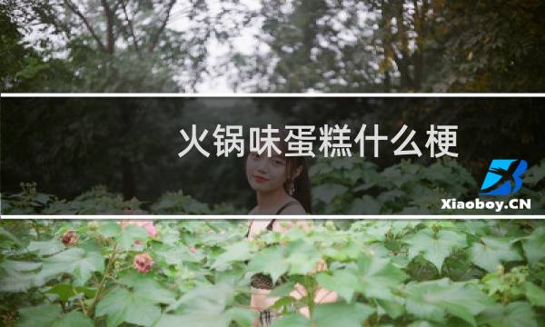 火锅味蛋糕什么梗