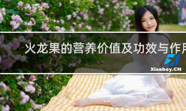 火龙果的营养价值及功效与作用