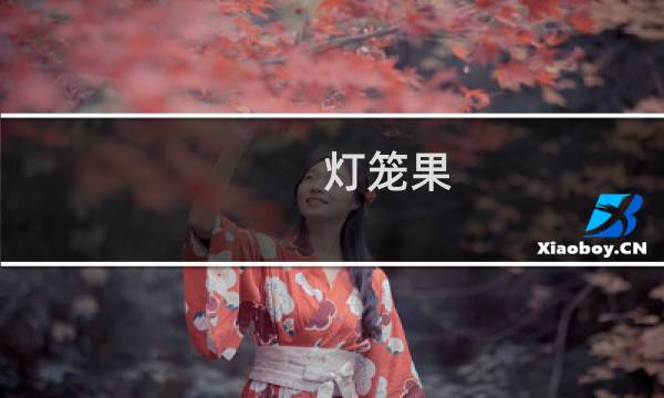 灯笼果(向阳区特产)