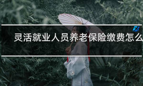 灵活就业人员养老保险缴费怎么交