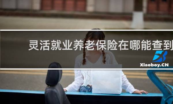 灵活就业养老保险在哪能查到