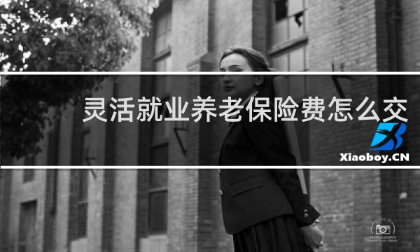 灵活就业养老保险费怎么交