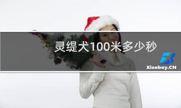 灵缇犬100米多少秒