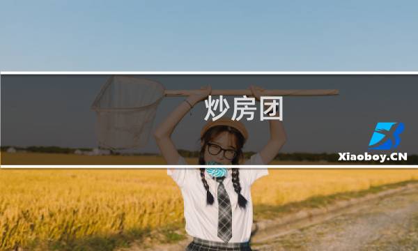炒房团图片