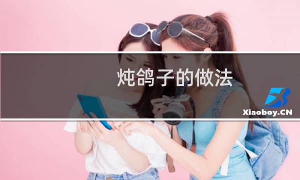 炖鸽子的做法