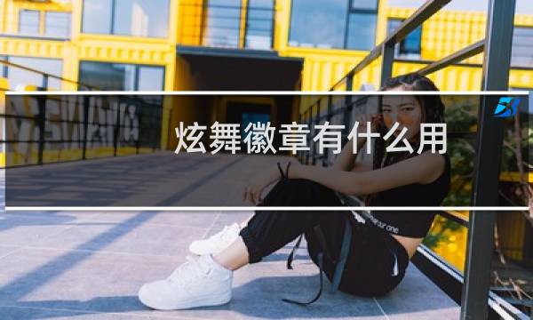 炫舞徽章有什么用（炫舞徽章）图片