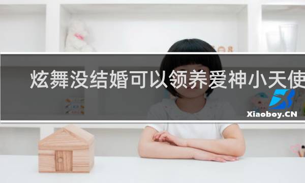 炫舞没结婚可以领养爱神小天使吗