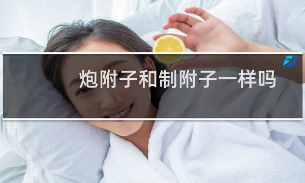 炮附子和制附子一样吗