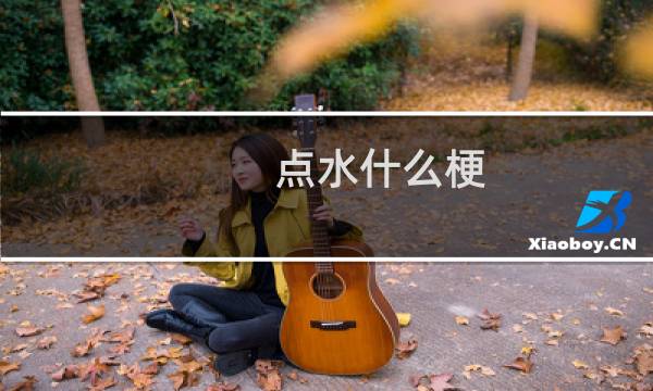 点水什么梗