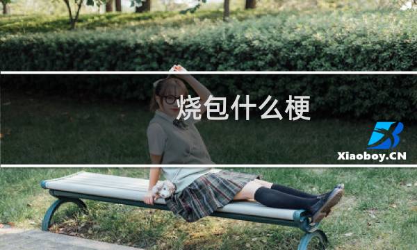 烧包什么梗