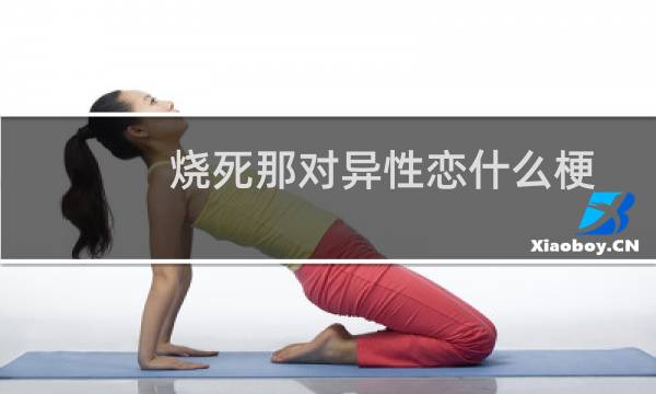 烧死那对异性恋什么梗